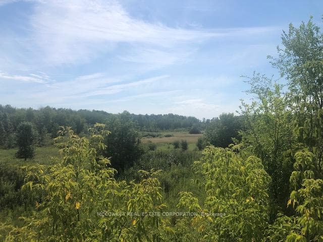 3931 Wallace Point Road photo 10