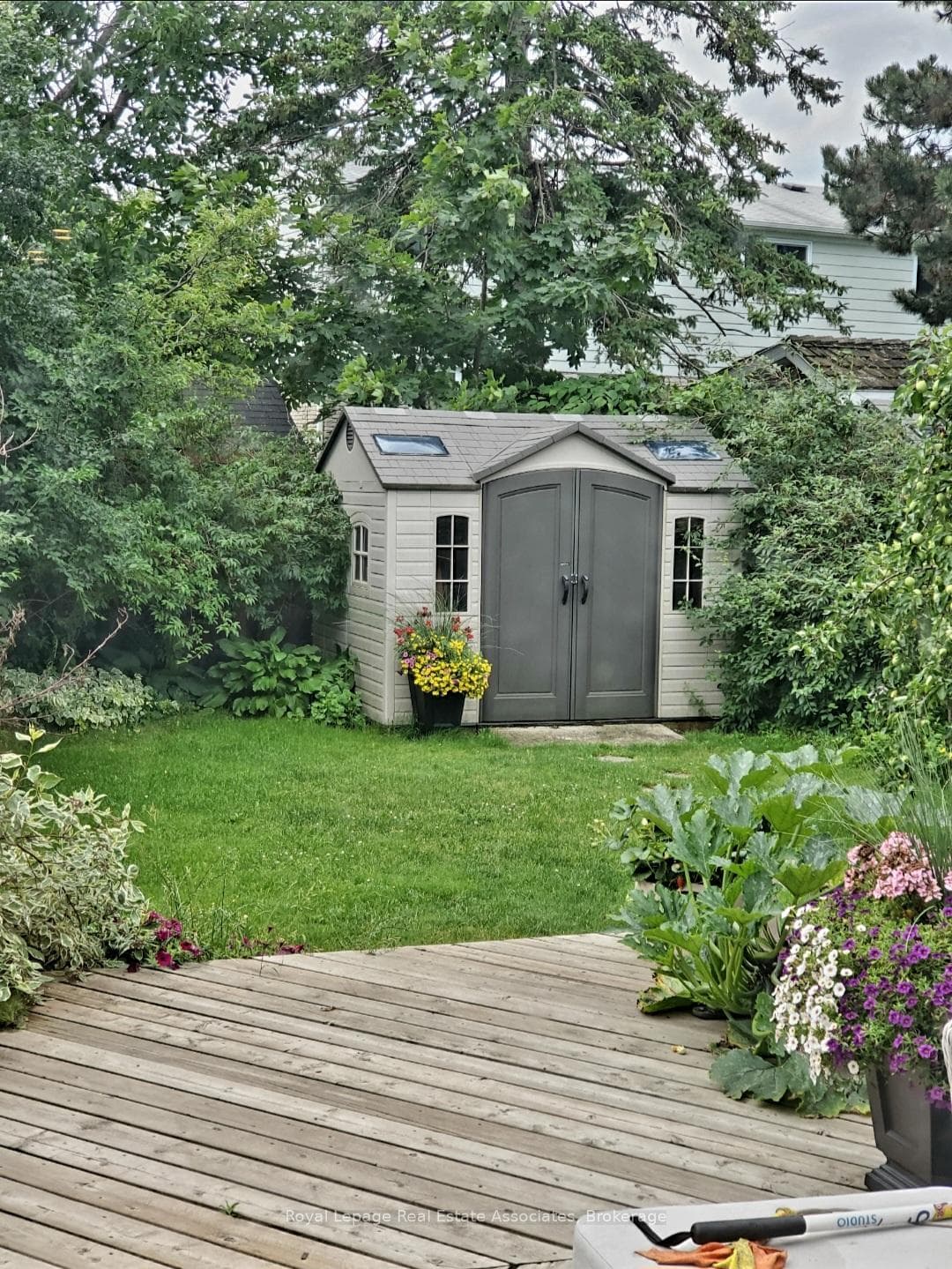 Summer pic of backyard