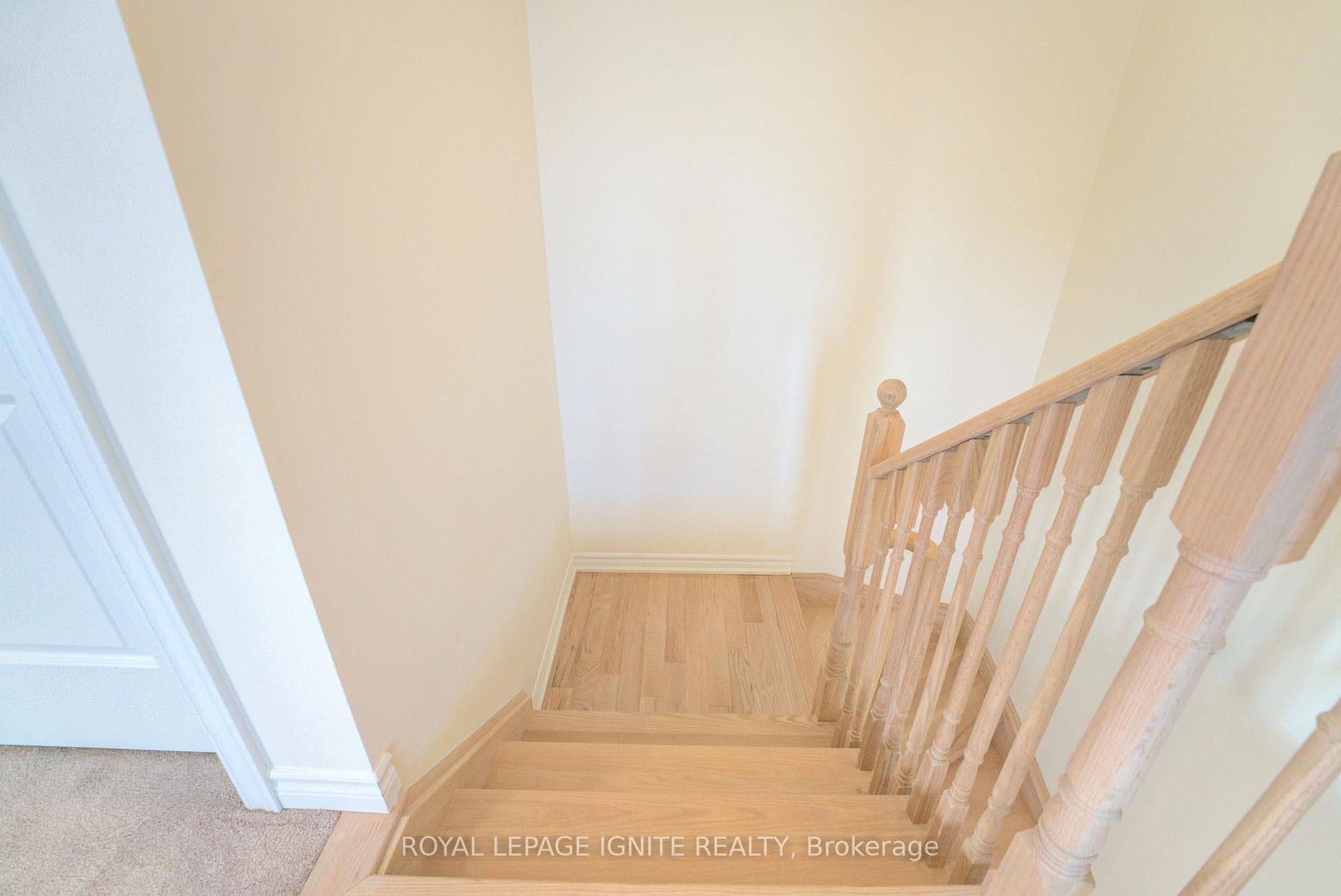 21 Raines Road photo 18