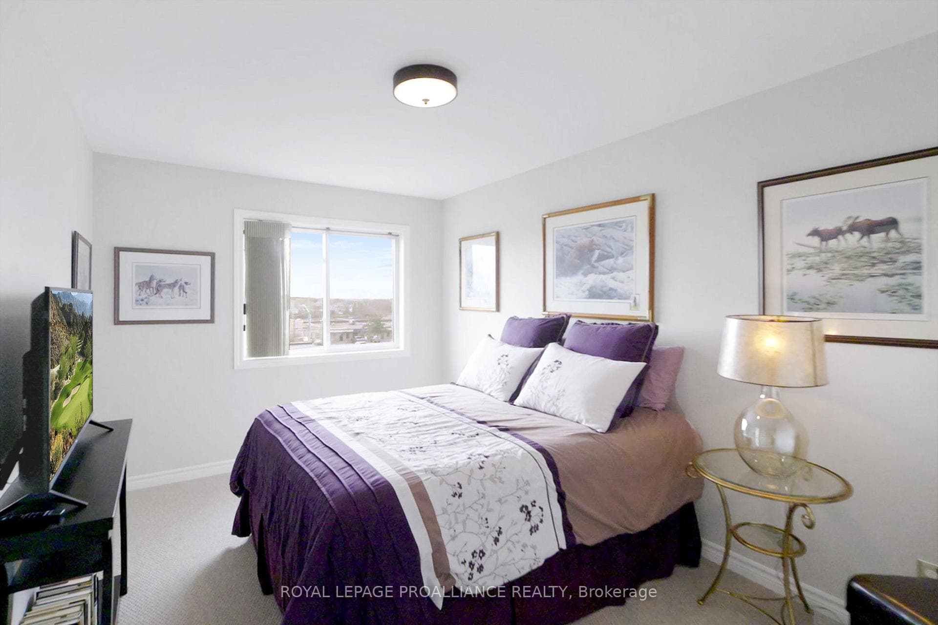 43 Mountain Ash Drive photo 22
