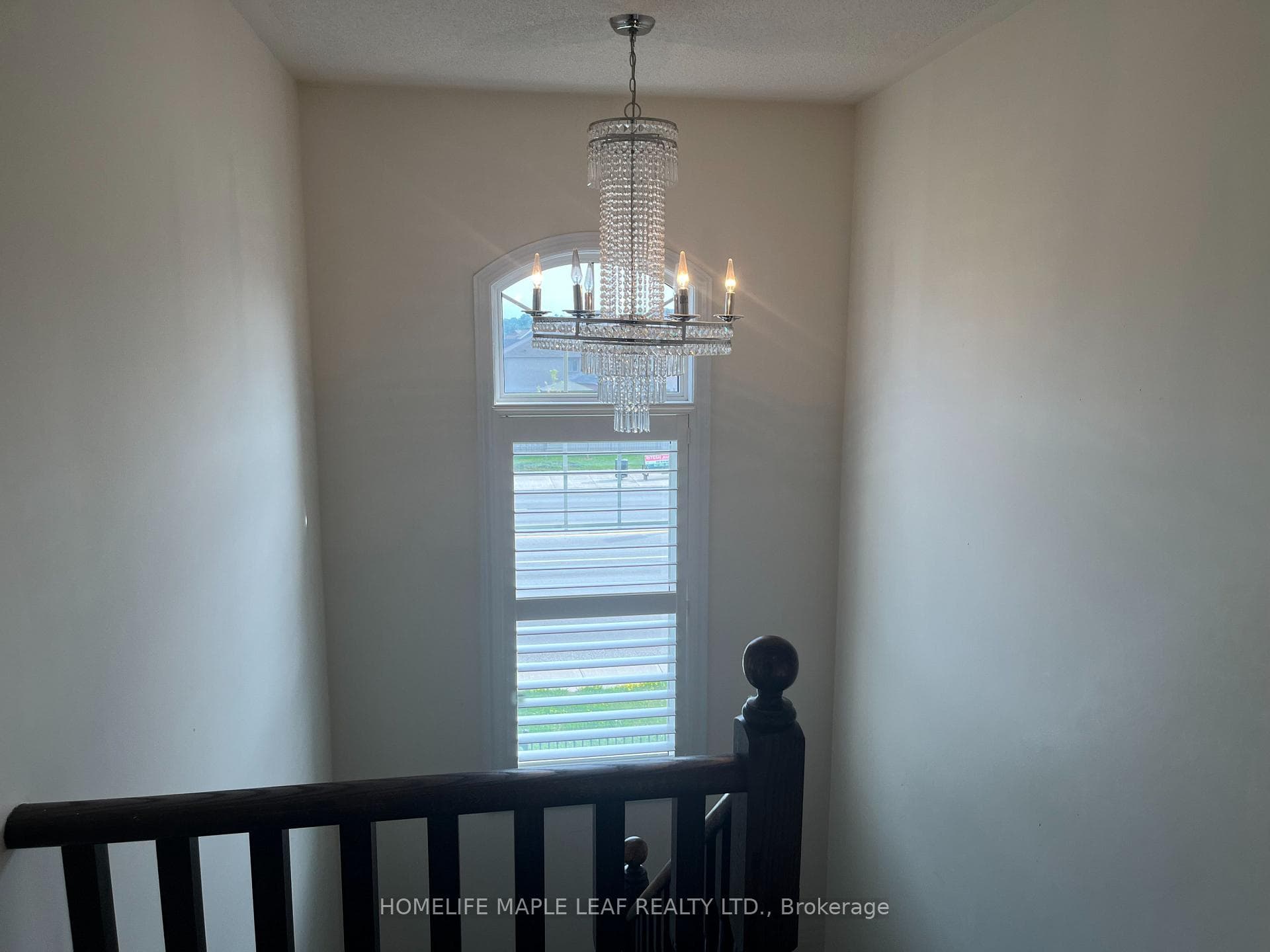 14 Nightland Court photo 14