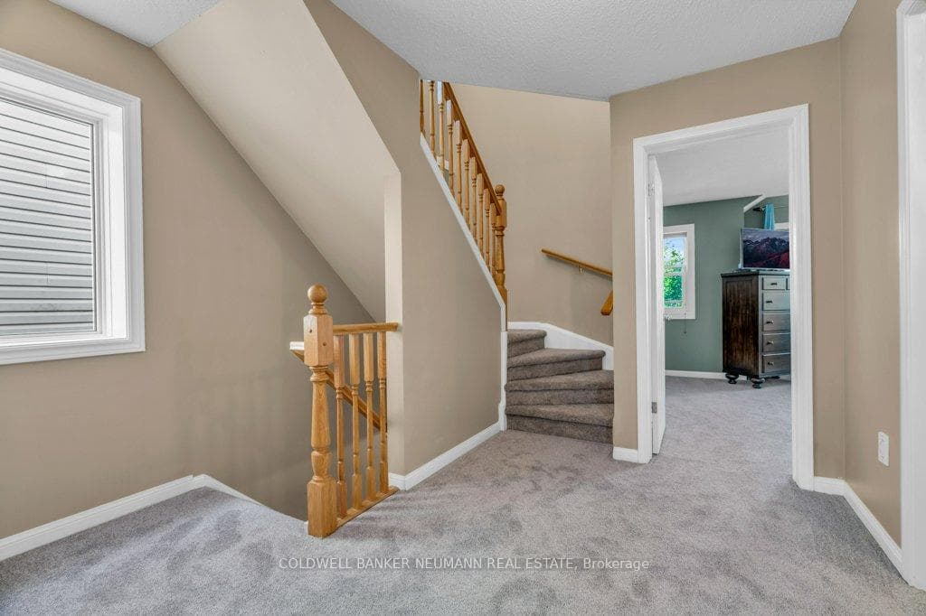 9 Lynch Circle photo 16