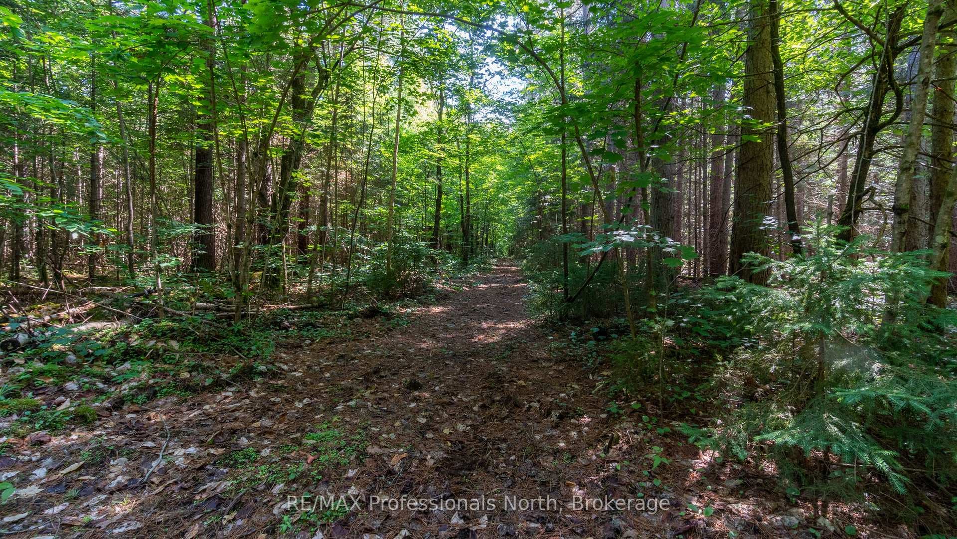 Walking and atv trail on the property.