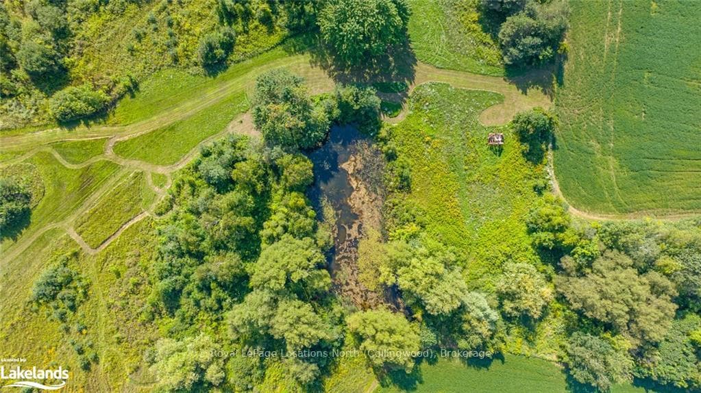 Pond on Site