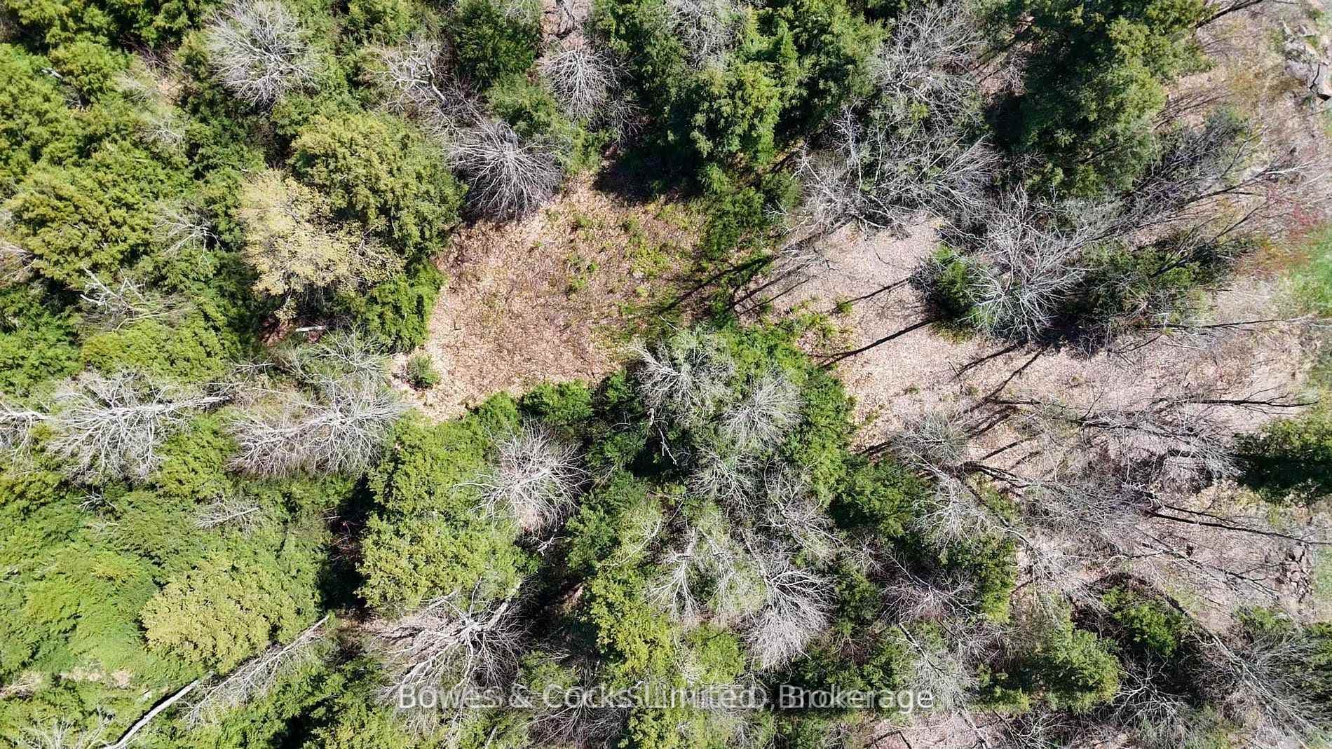 1160 Balmer Road photo 9