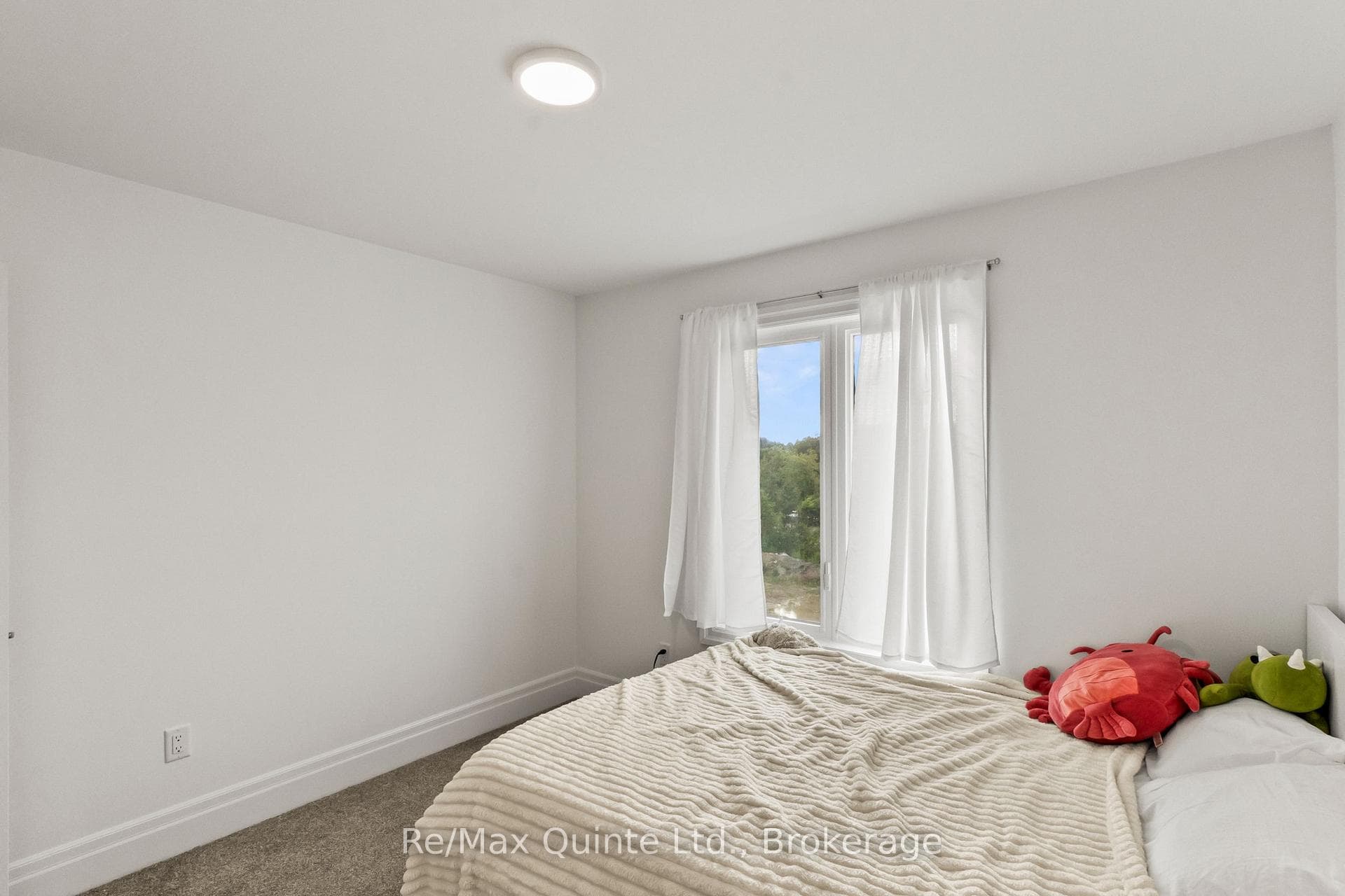 107 Buchanan Avenue photo 29