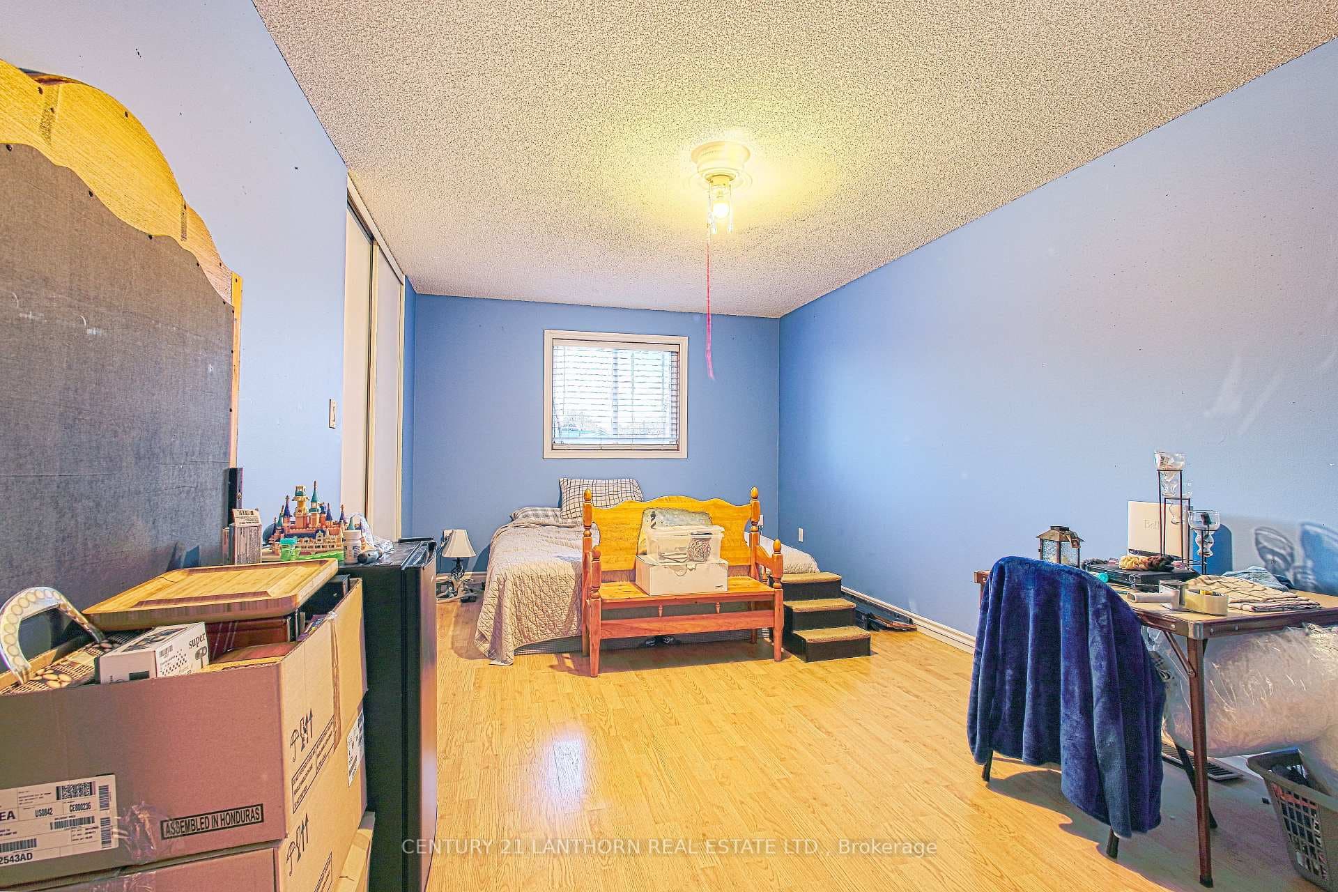 15 Birch Street photo 10
