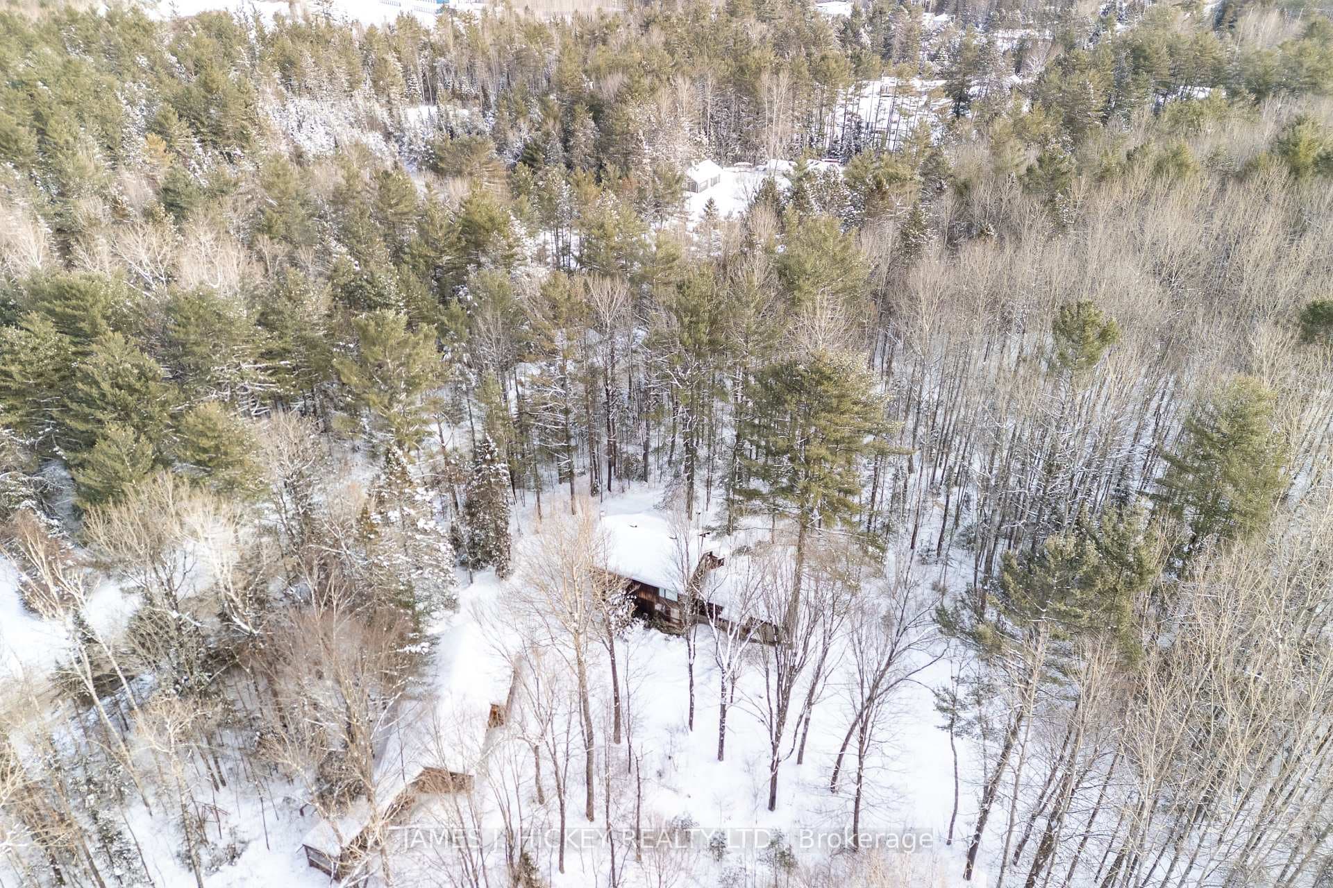 120 Wylie Road photo 42
