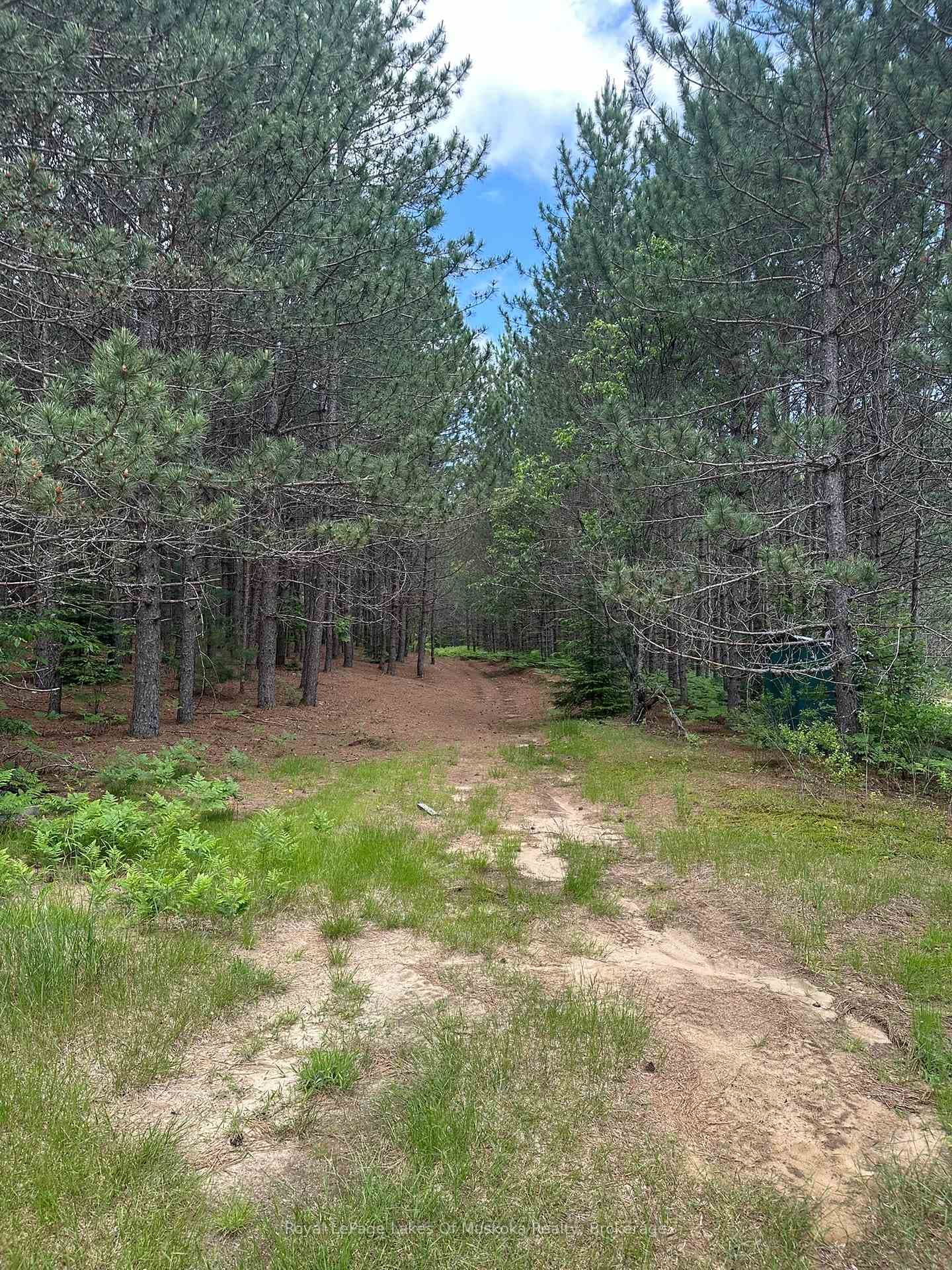 Trails Throughout Property