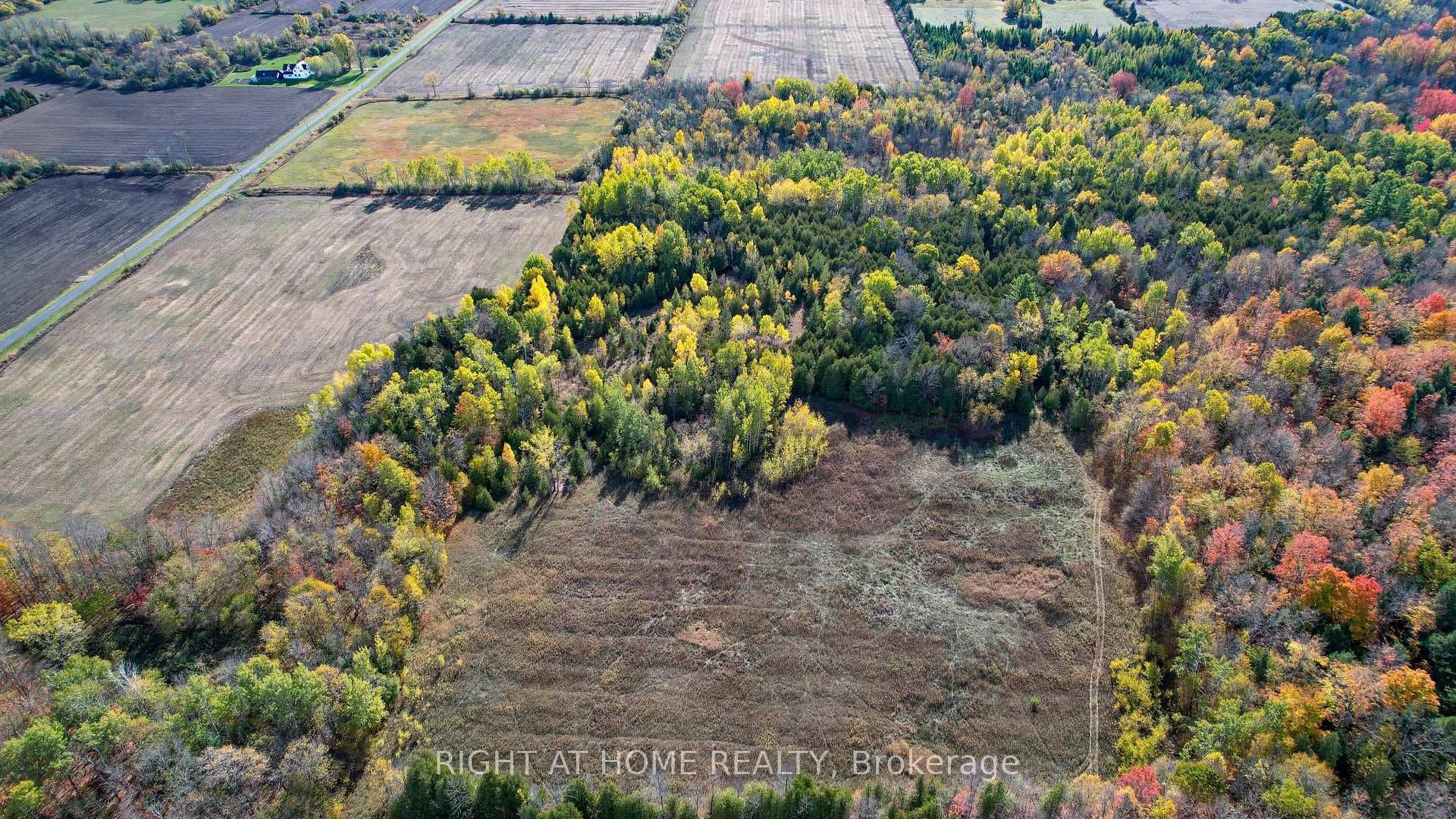 Middle cleared section of the property.