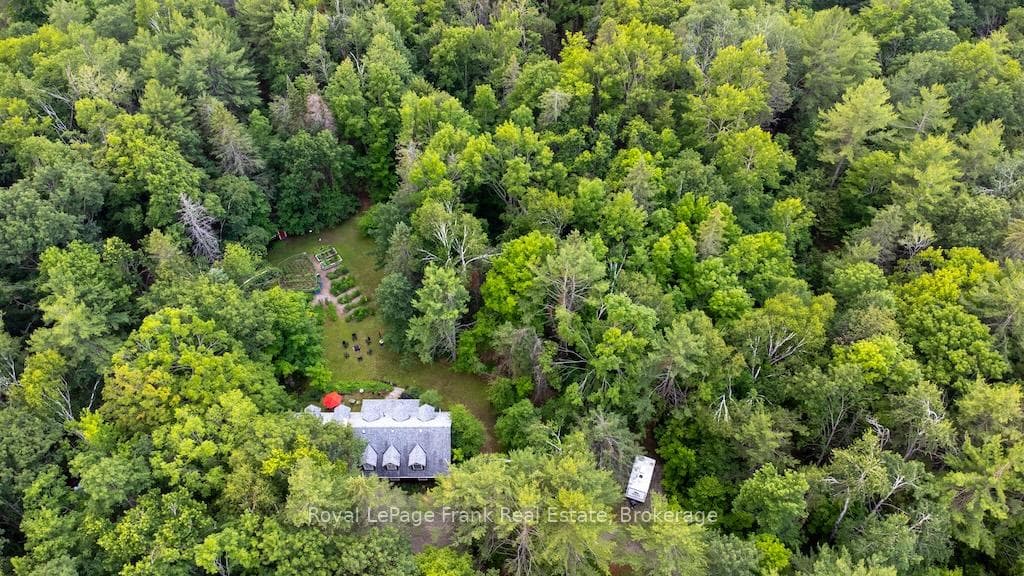 3719 County Rd 507 Road photo 3