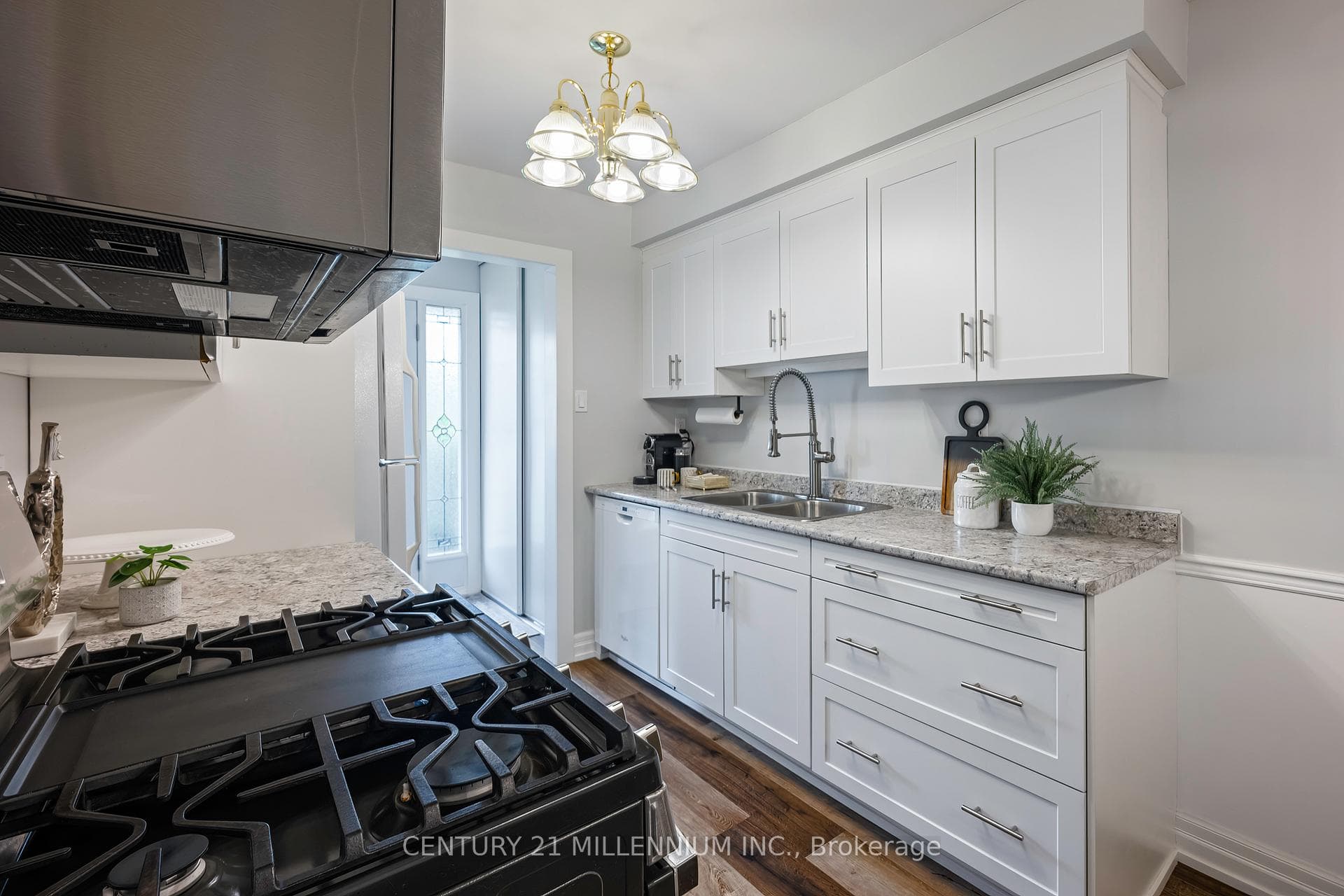 46 Cannon Court photo 11