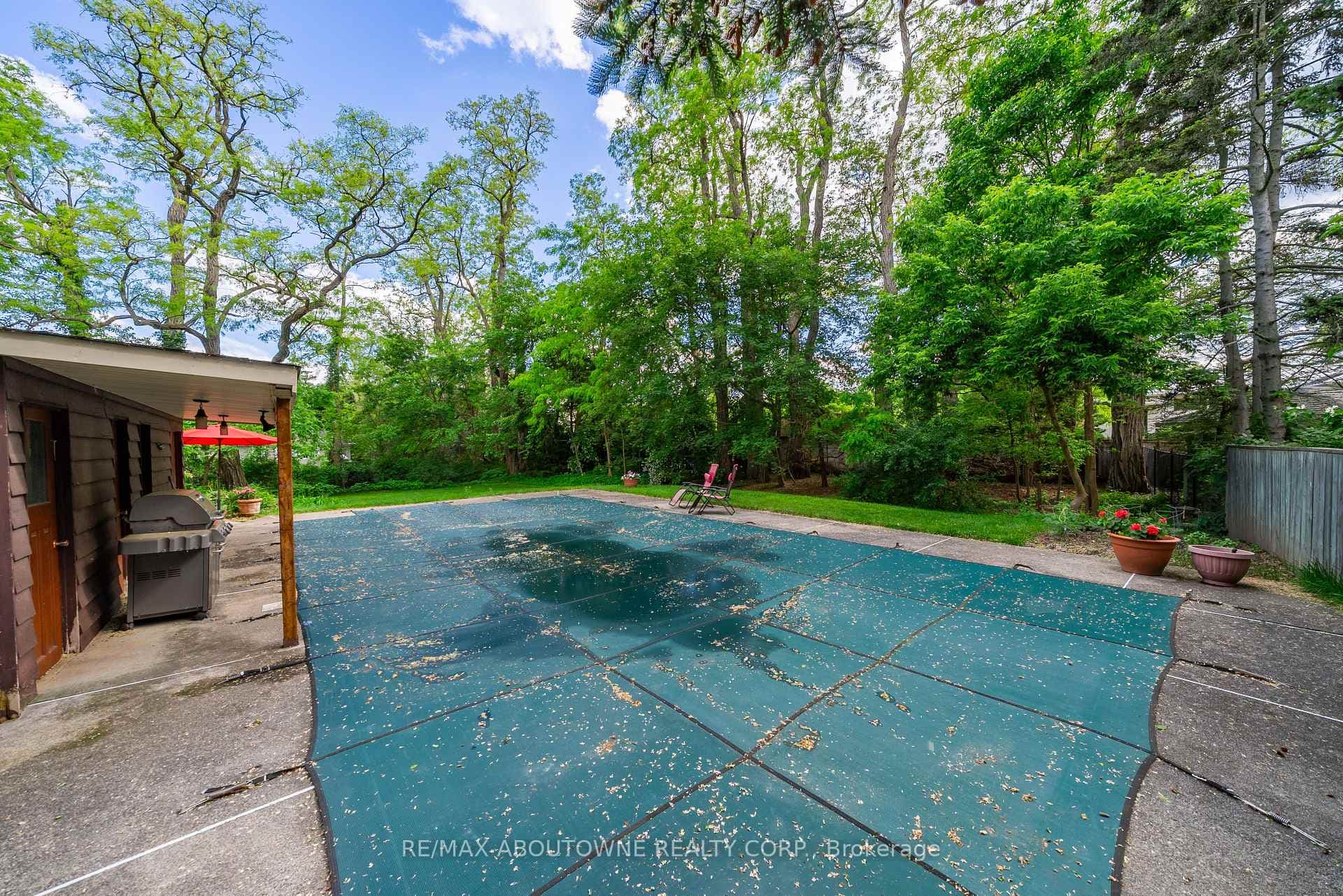 142 Abbey Court photo 19
