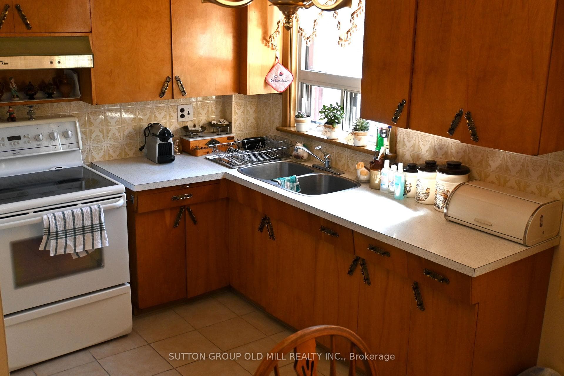 51 Algoma Street photo 4