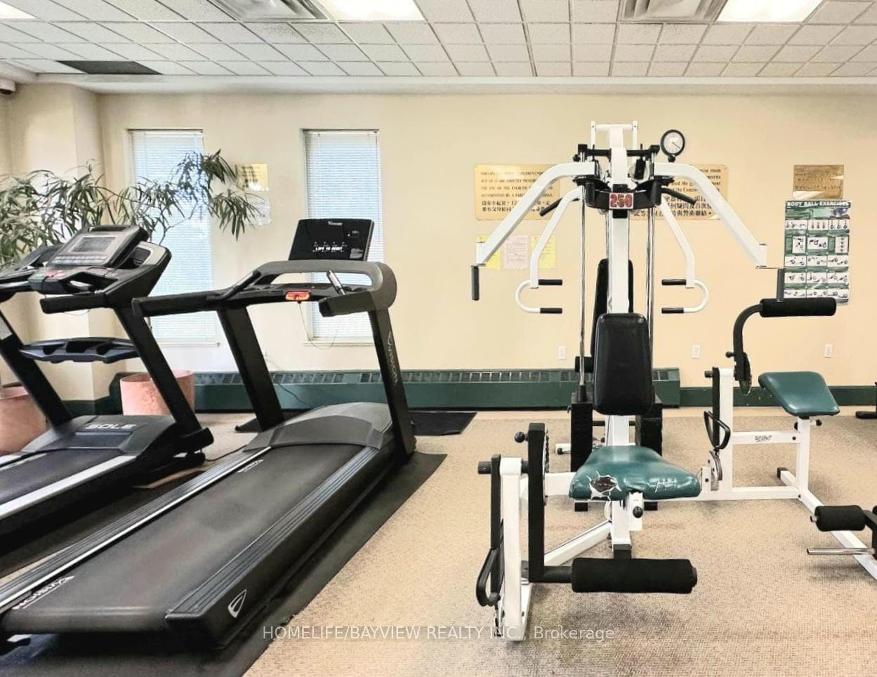 Gym