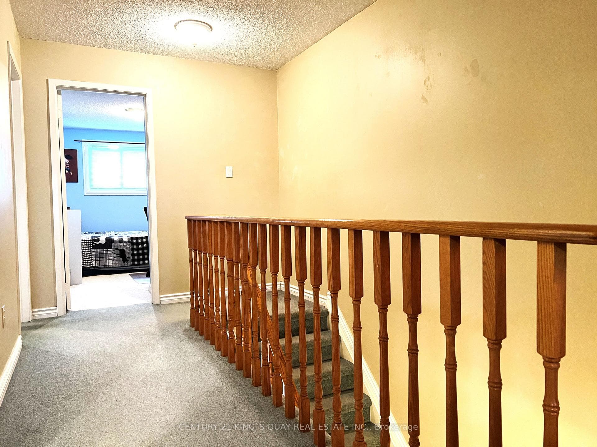 113 Stirling Crescent photo 19