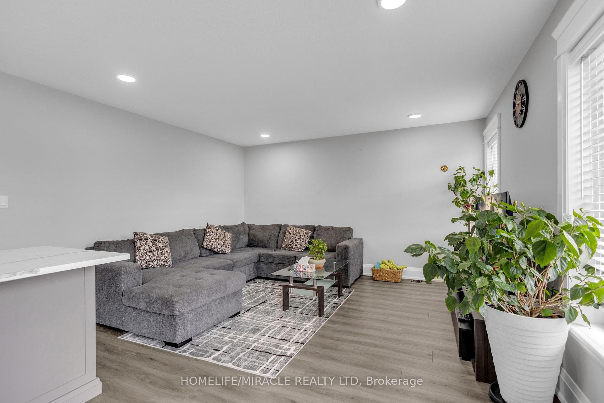 172 Miller Street photo 21
