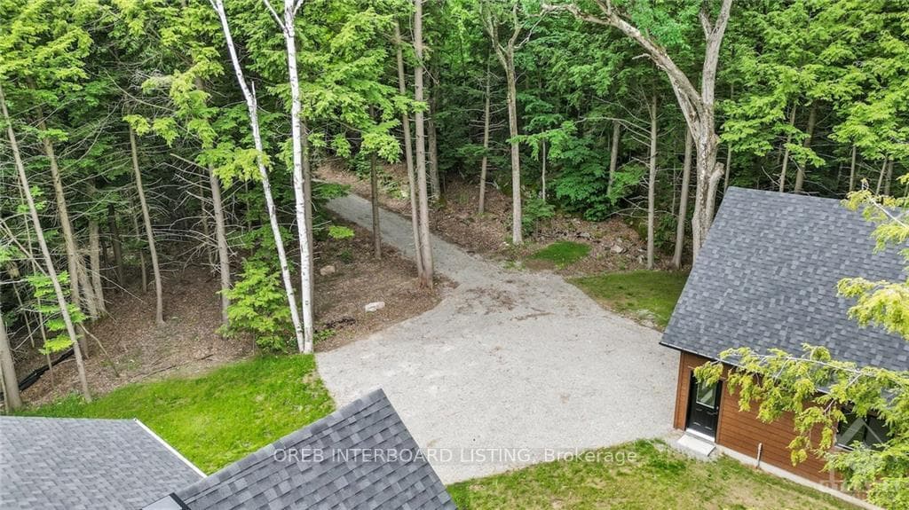 923 WHITE BIRCH Lane photo 5