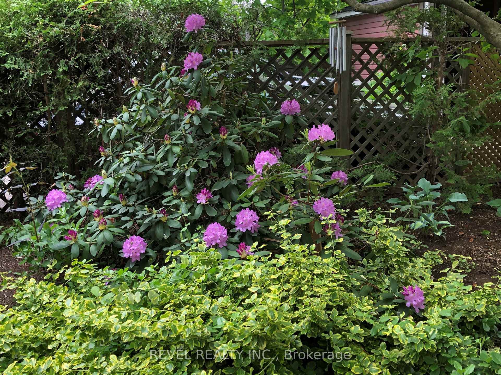 320 CLEMOW Avenue photo 34