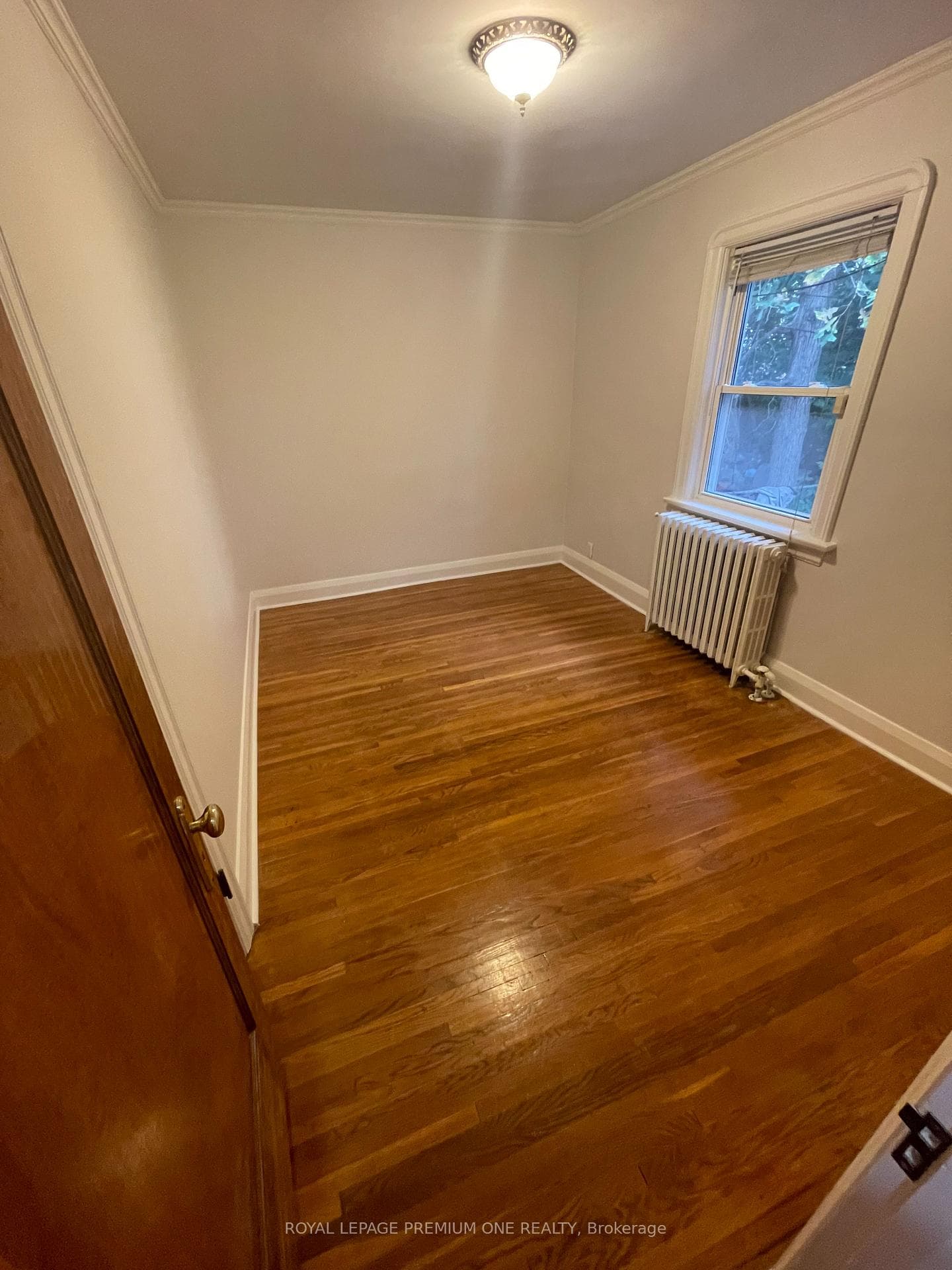 4 Coulter Avenue Unit Main Fl photo 7