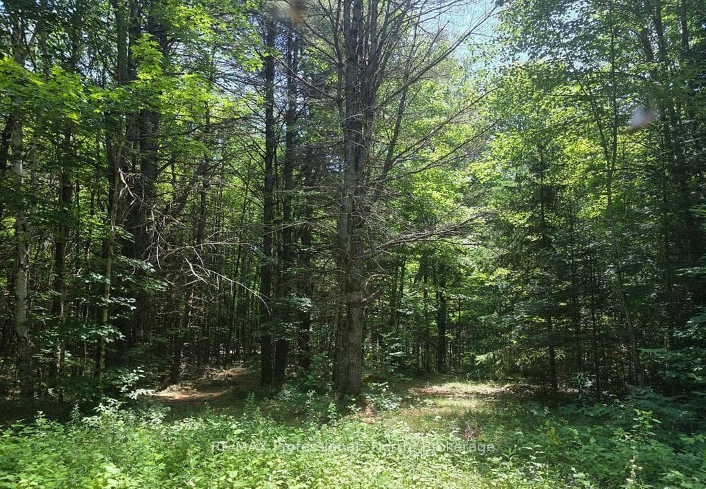 1134 Walker Line Road photo 14