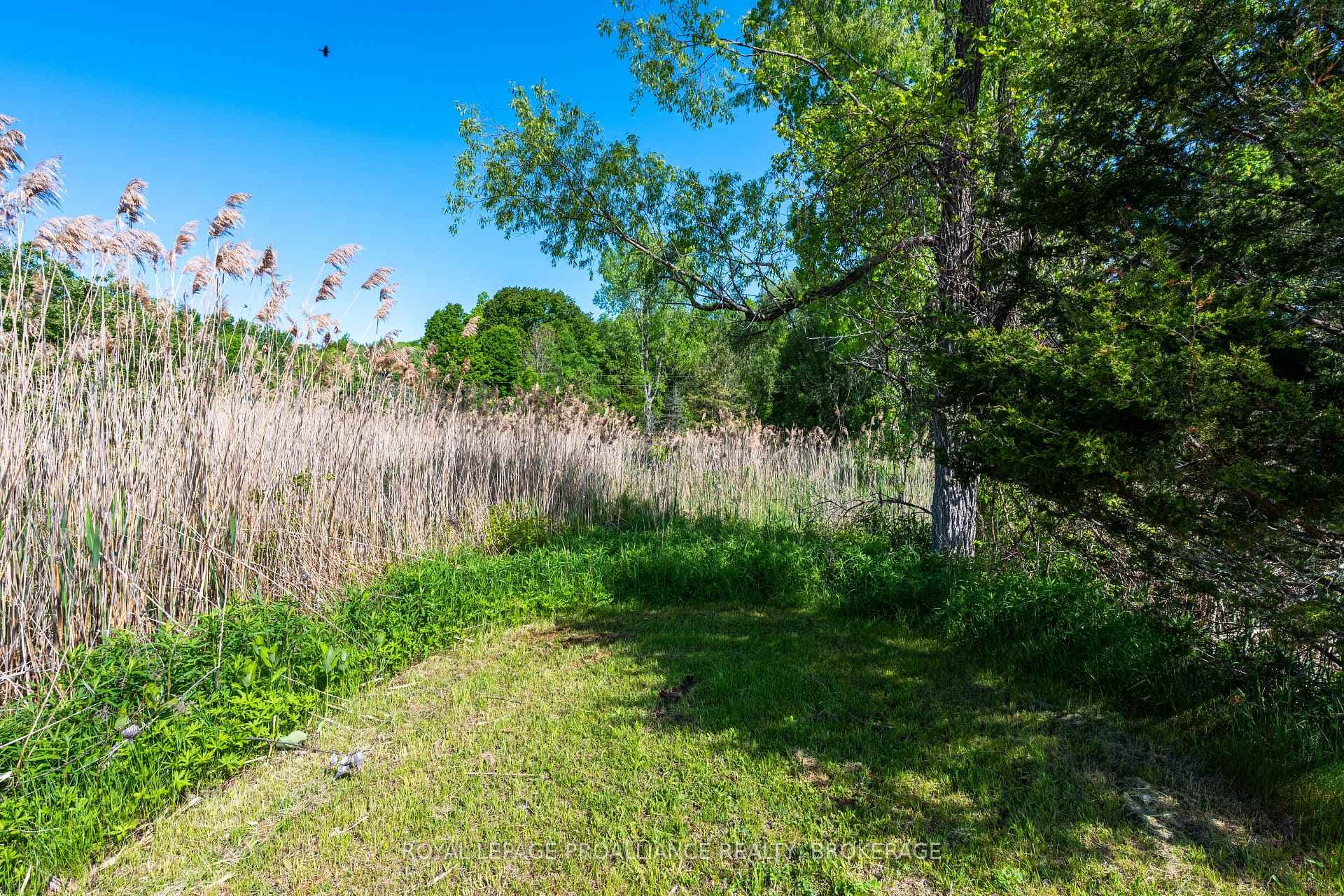 1168 Thousand Island Parkway photo 16