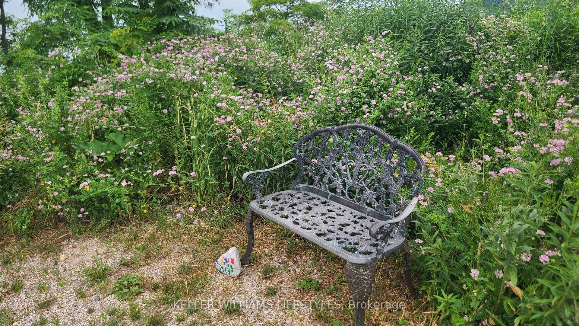Bench in garden