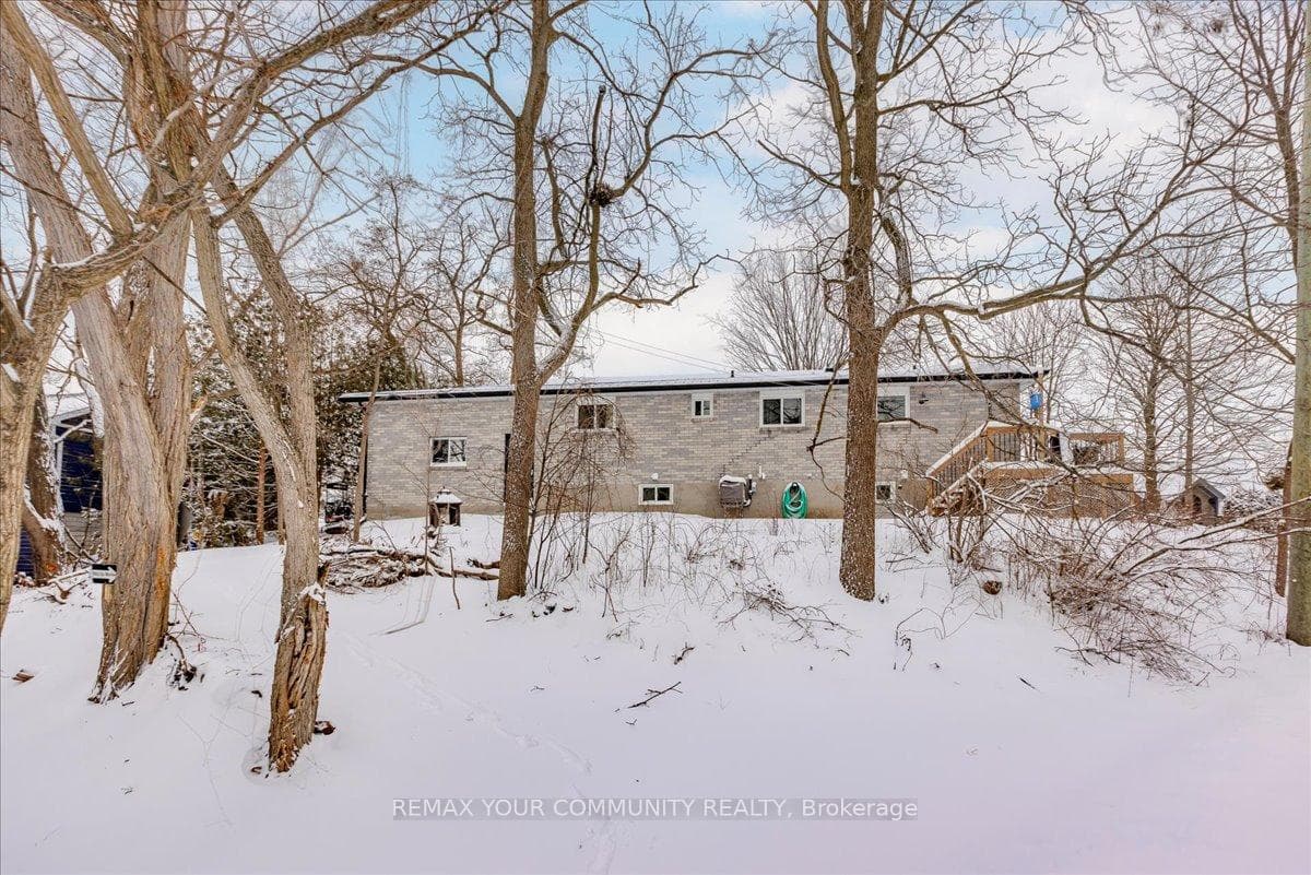 21 Malone Road photo 36
