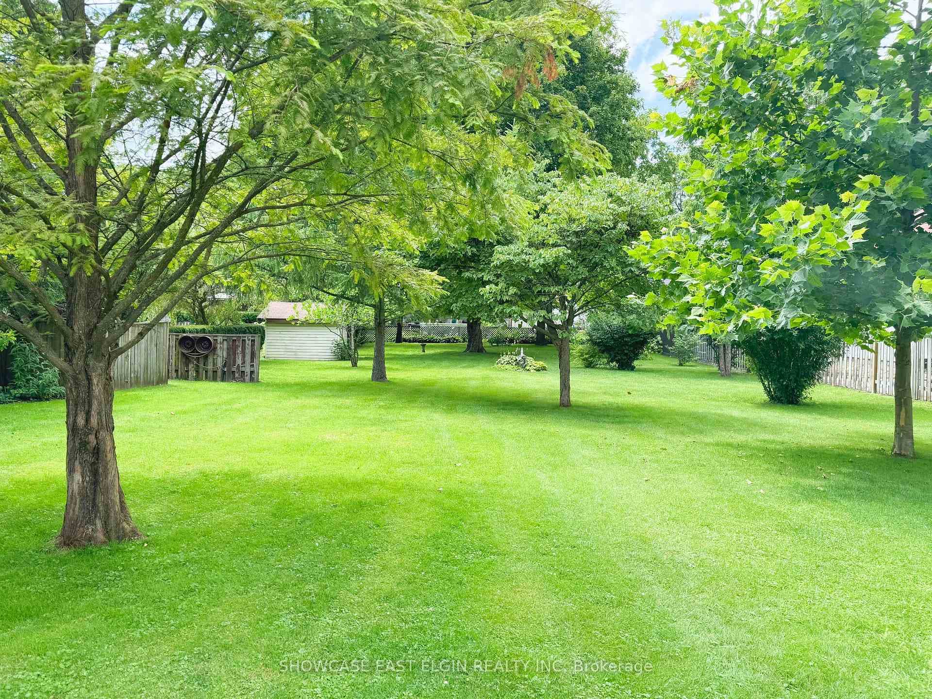 Expansive yard