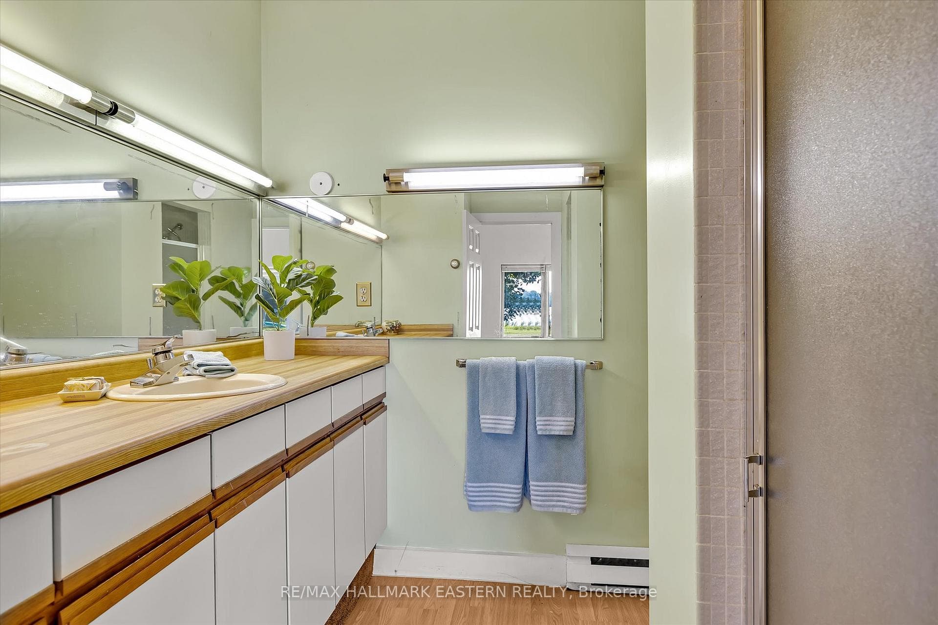 17 Buttercup Lane photo 26