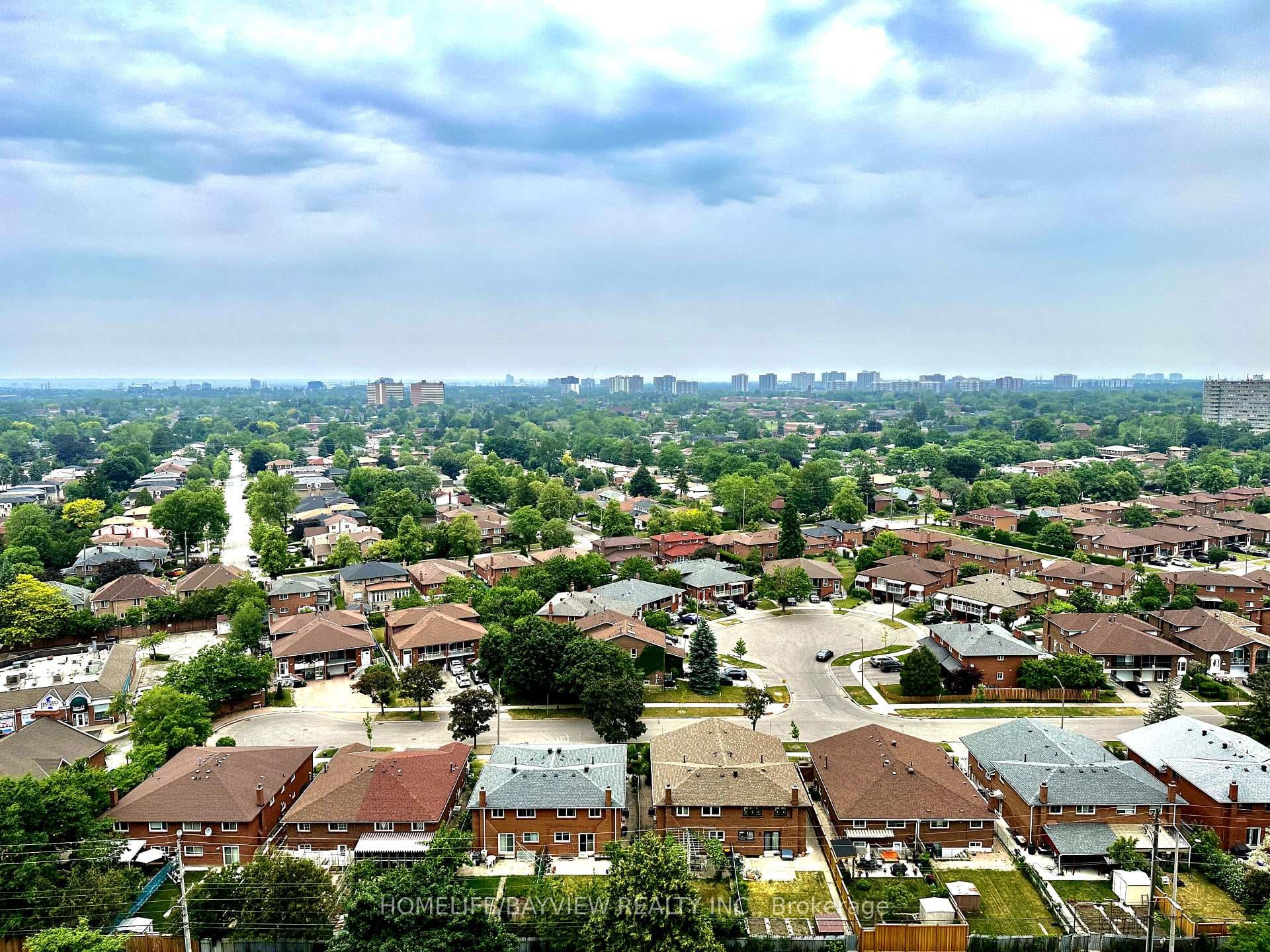 North View