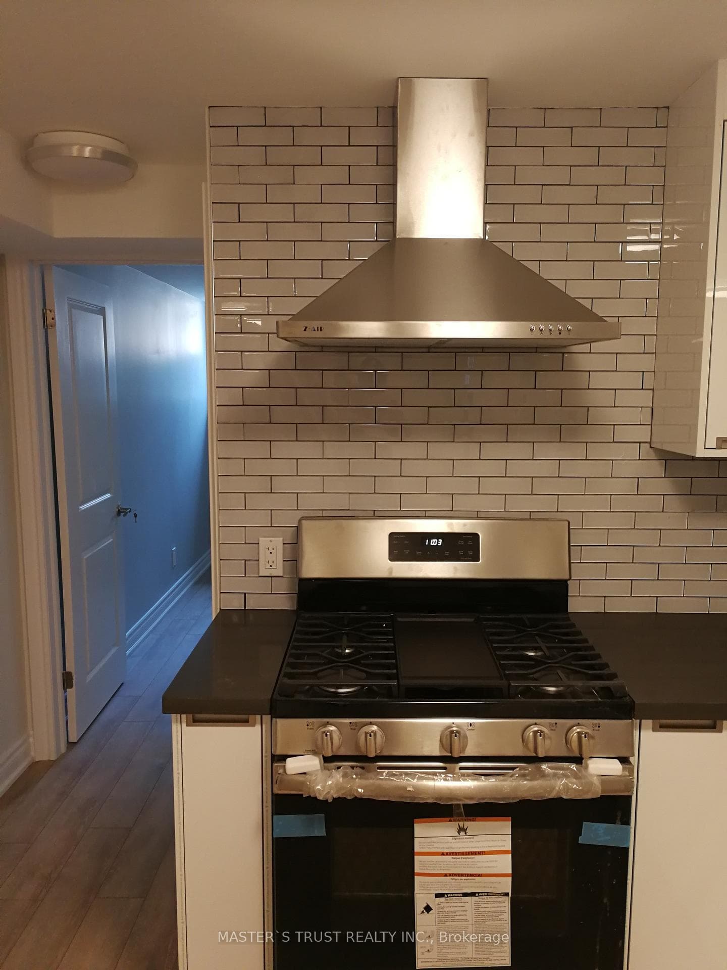 246 Lippincott Street Unit Lowunit photo 5