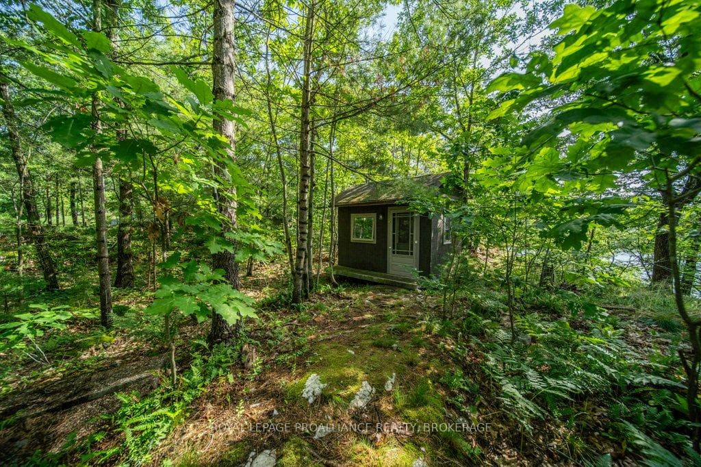 811 Hermit Thrush Lane photo 26