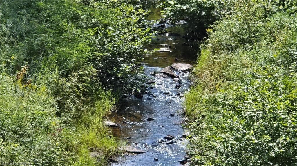 4405 ALSACE Road photo 4
