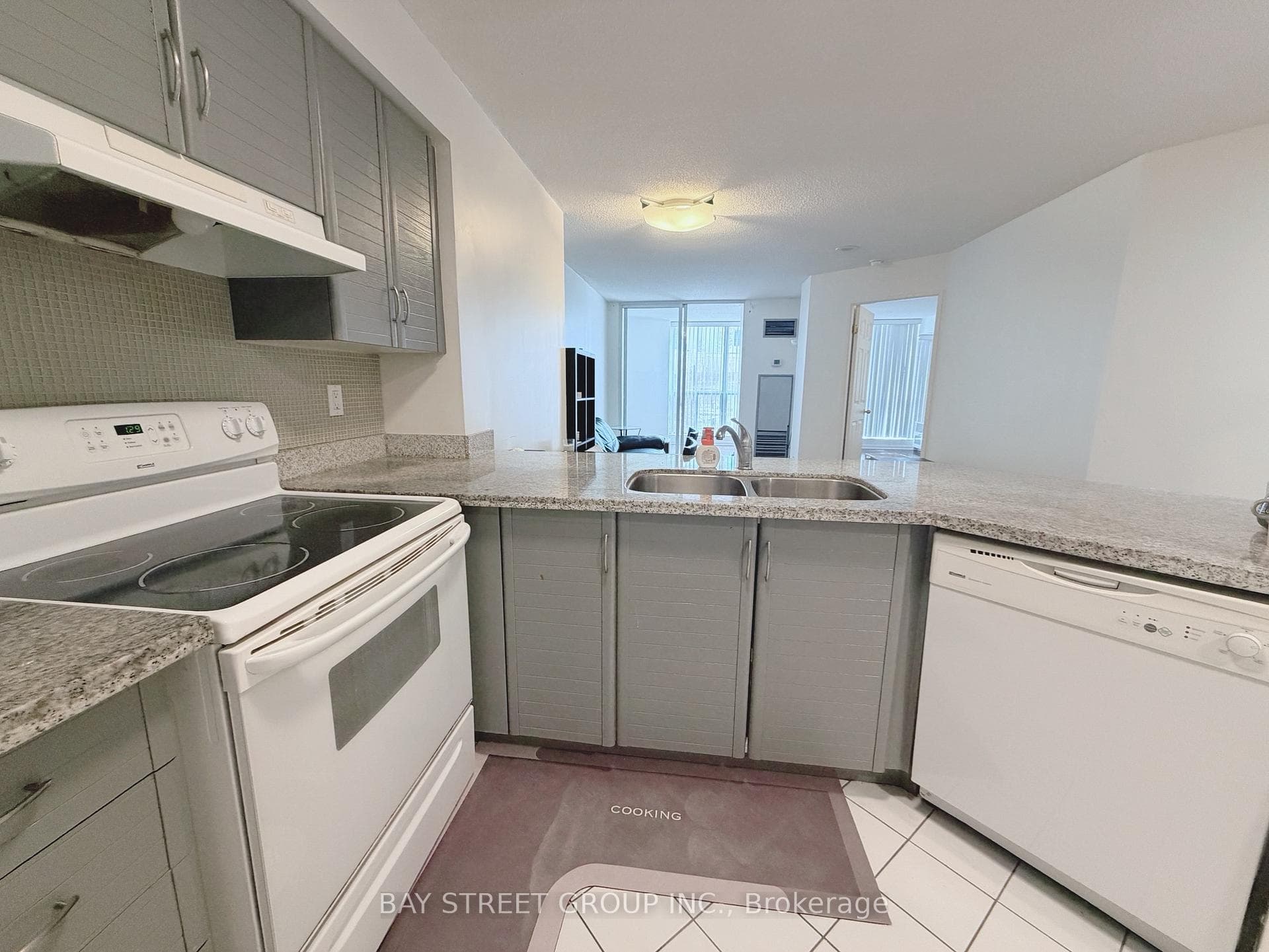 24 Wellesley Street Unit 216 photo 4