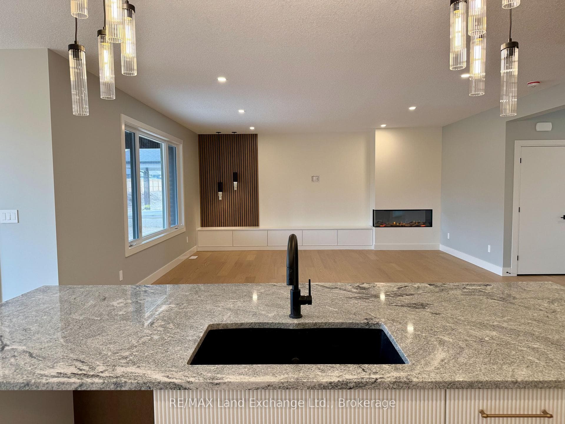 962 Bogdanovic Way photo 13