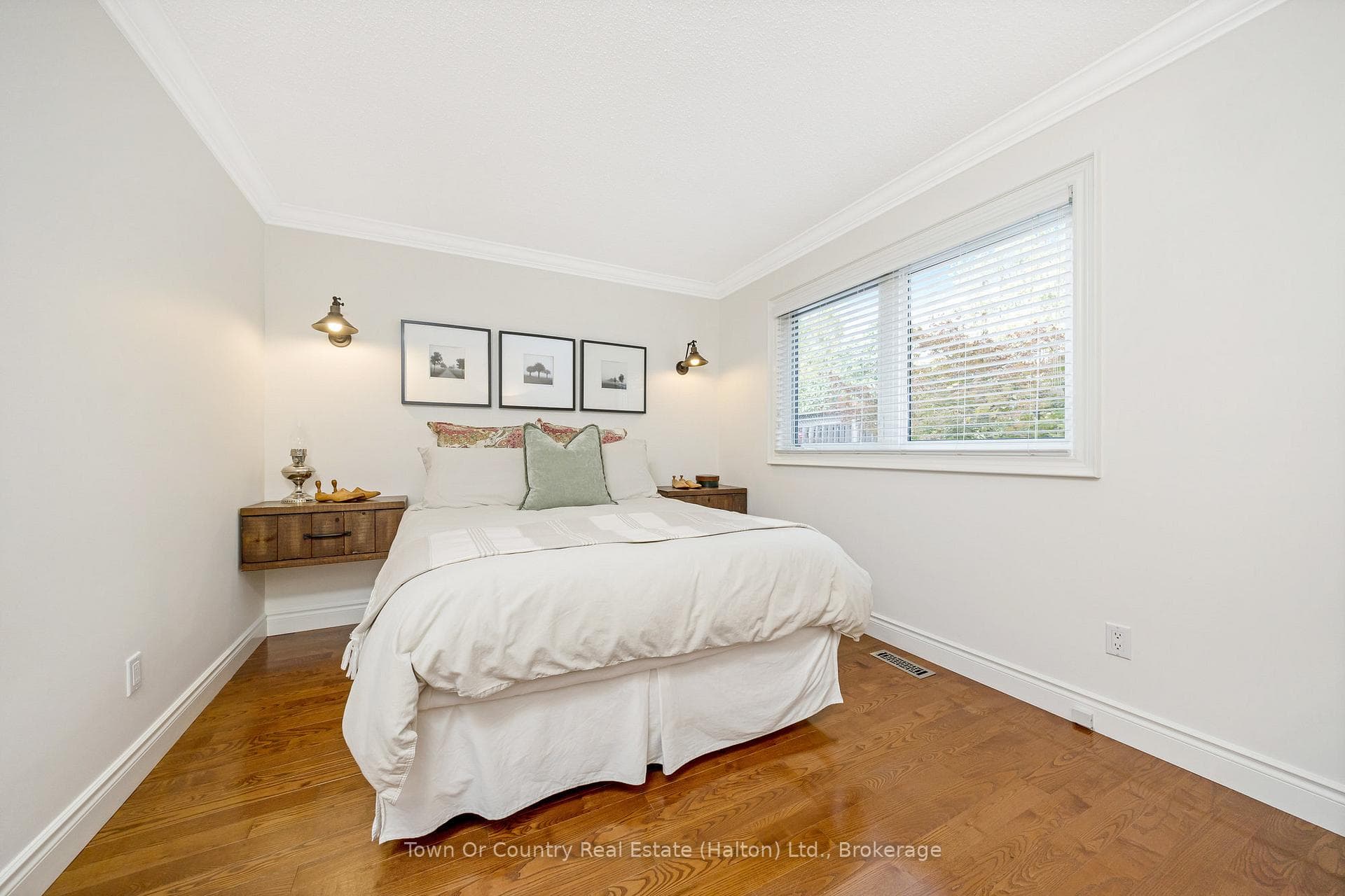 491 White Drive photo 21