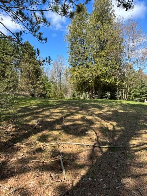 26686 Highway 62 N/A photo 7