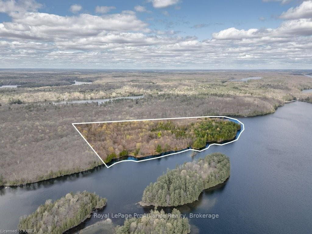 242 TIMMERMAN Road photo 44