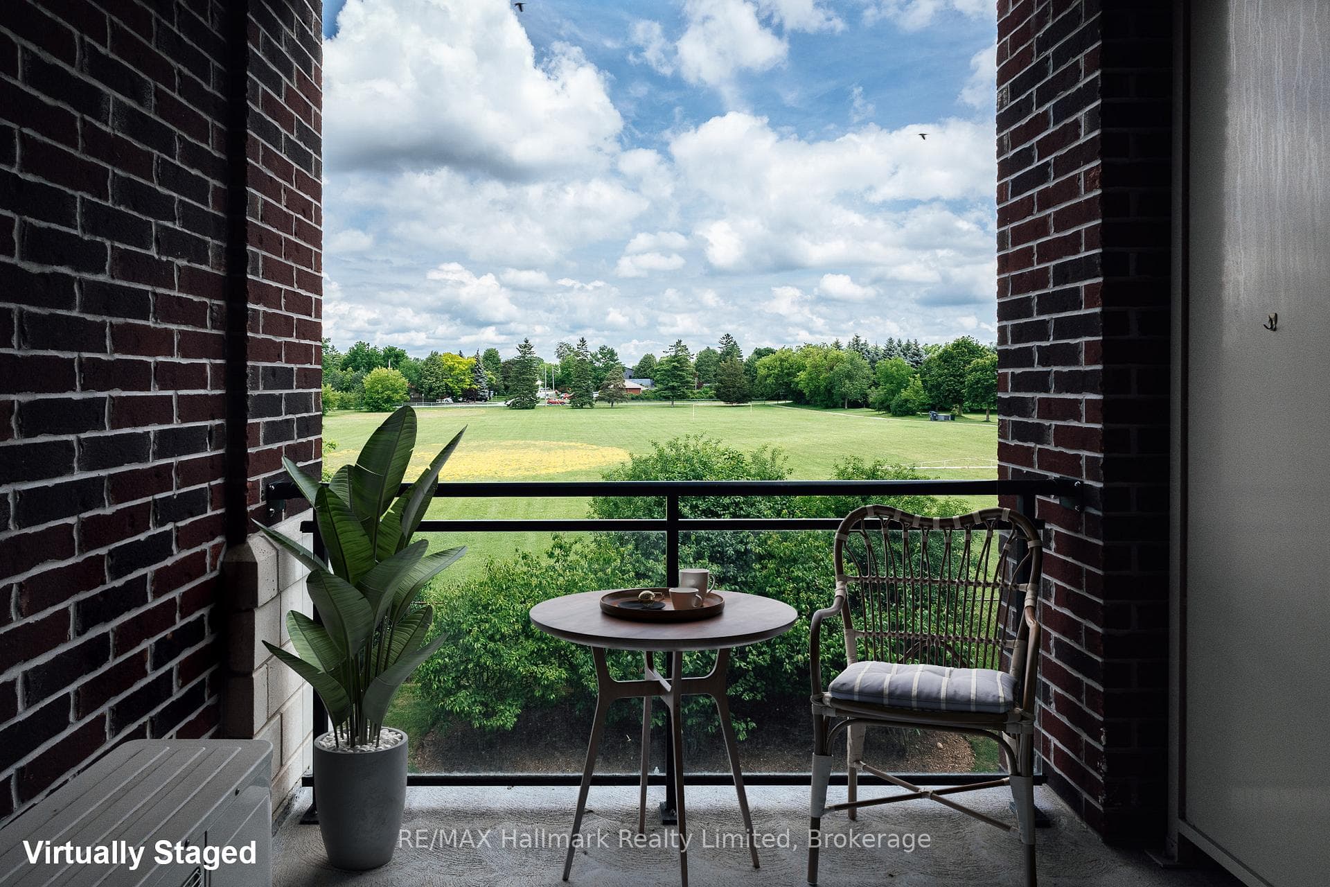 serene views