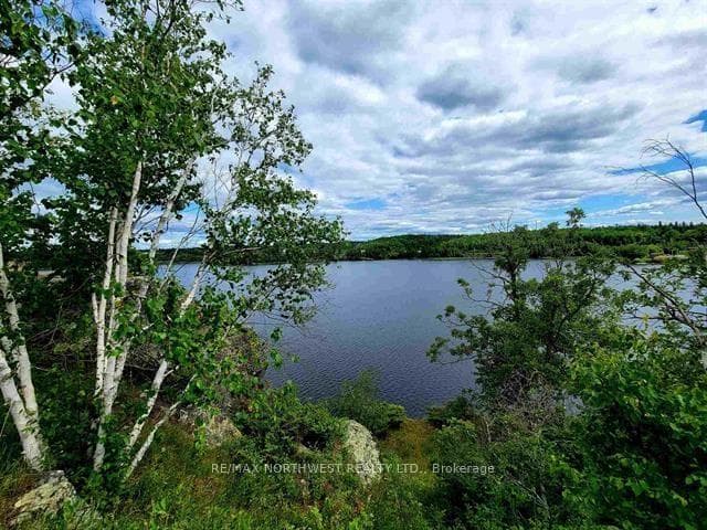 1319 LAURENSON LAKE photo 5