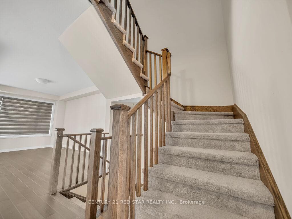 262 Newman Drive photo 21