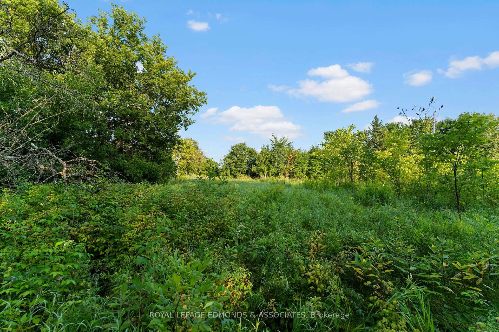 107 Purple Finch Trail photo 19