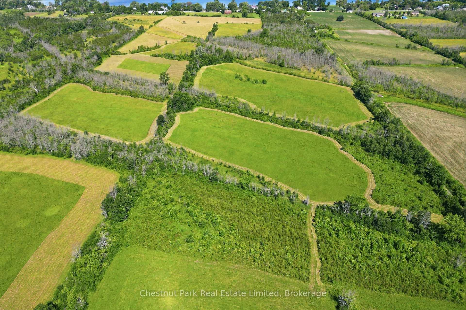 647 Helmer Road photo 31