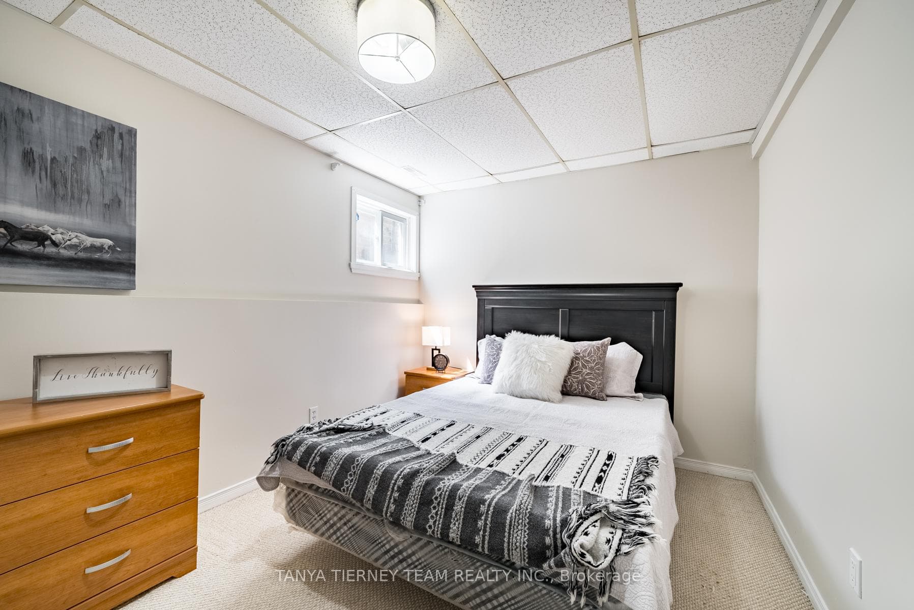 116 Homefield Square photo 31