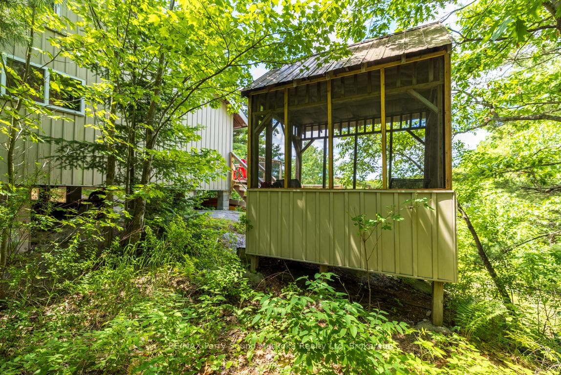 Gazebo amongst the pines