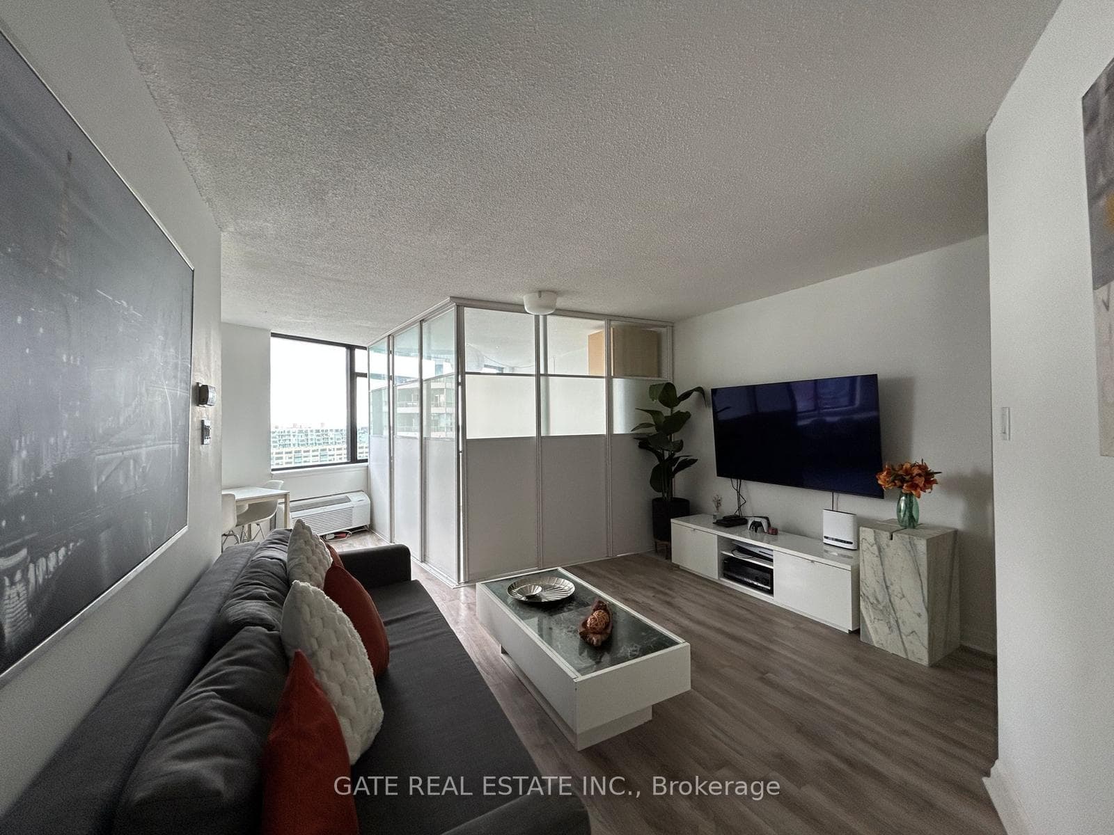 LIVING TV AREA