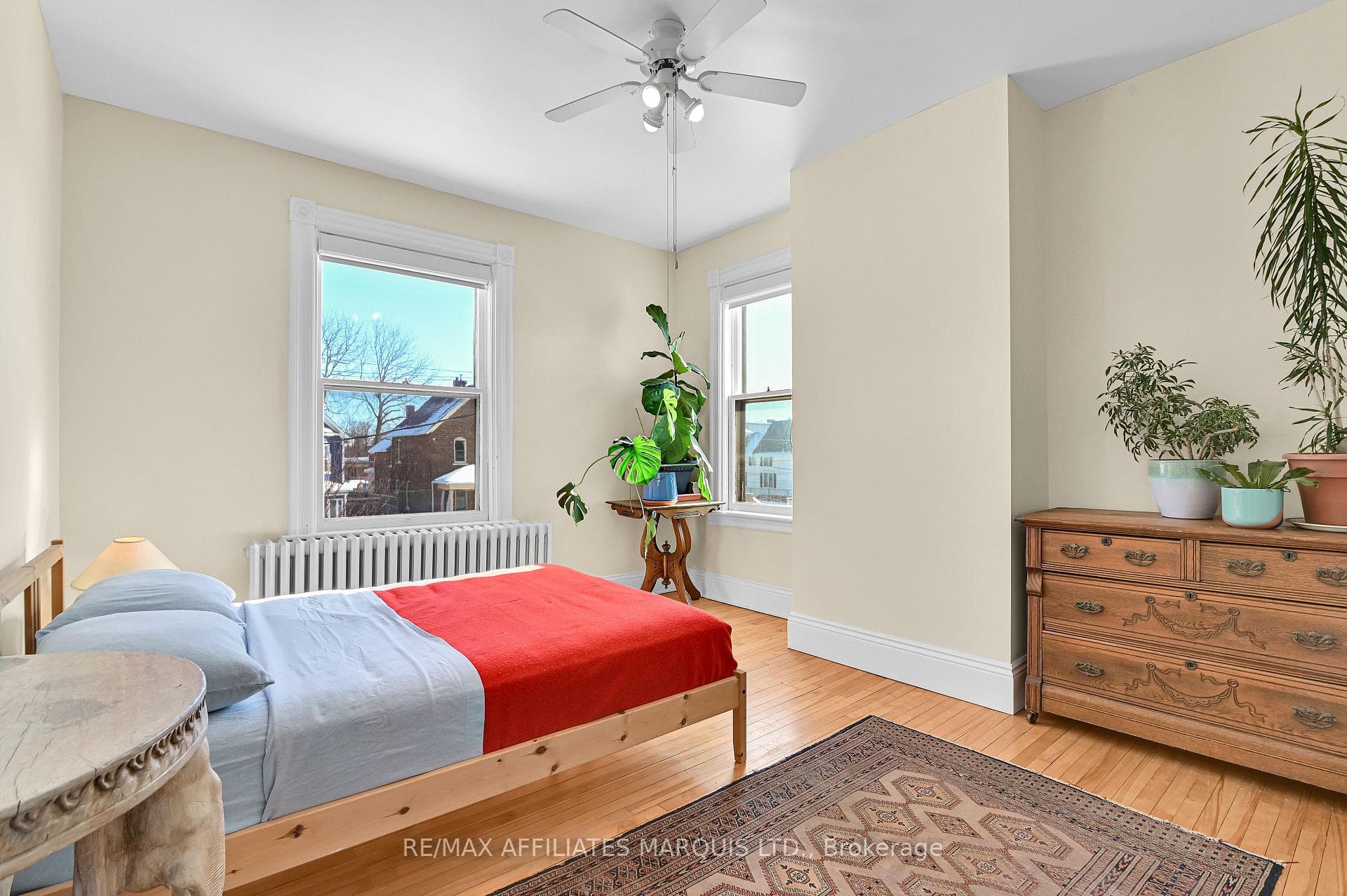 230 Sydney Street photo 22