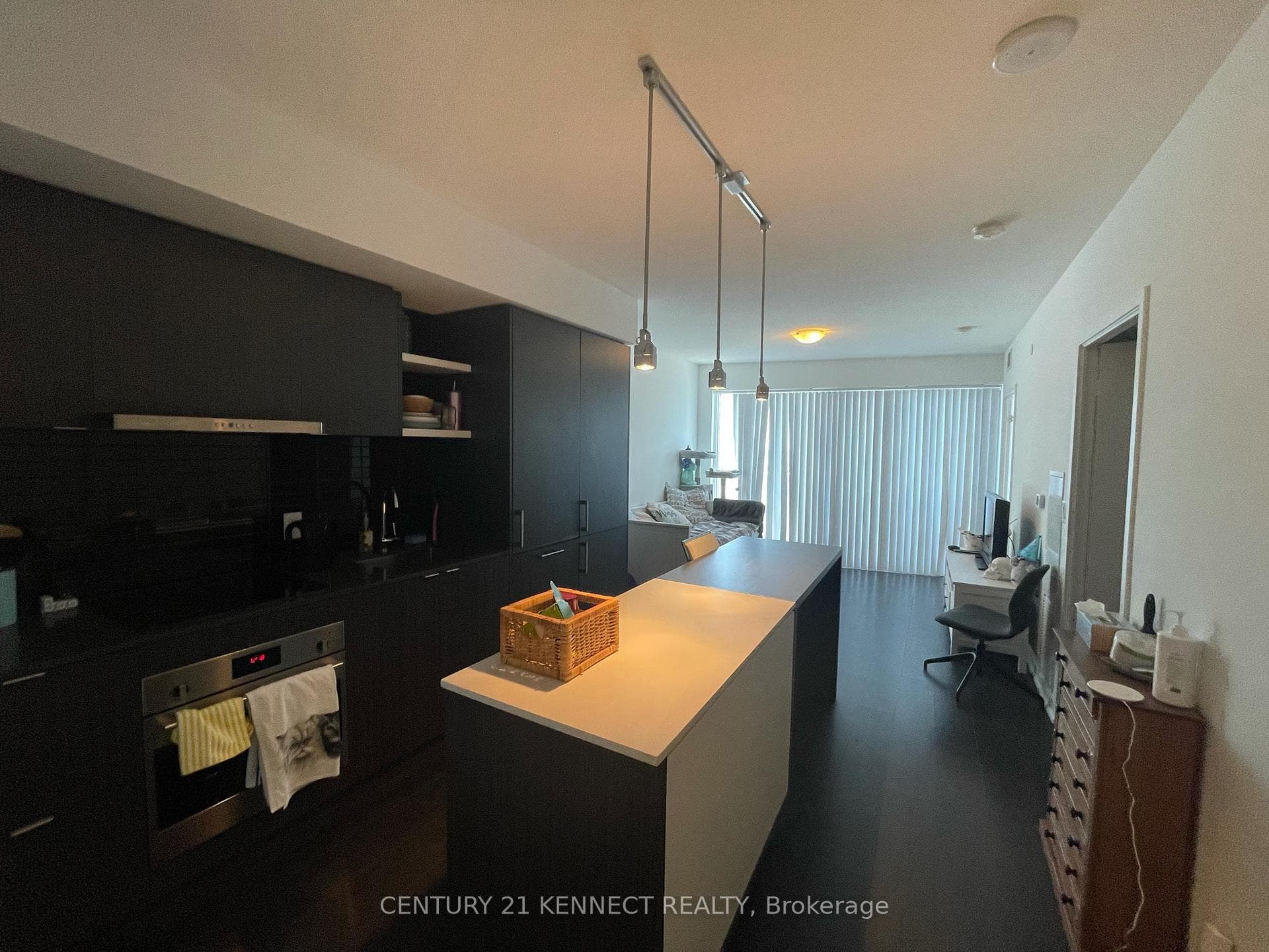 100 Harbour Street Unit 4209 photo 20