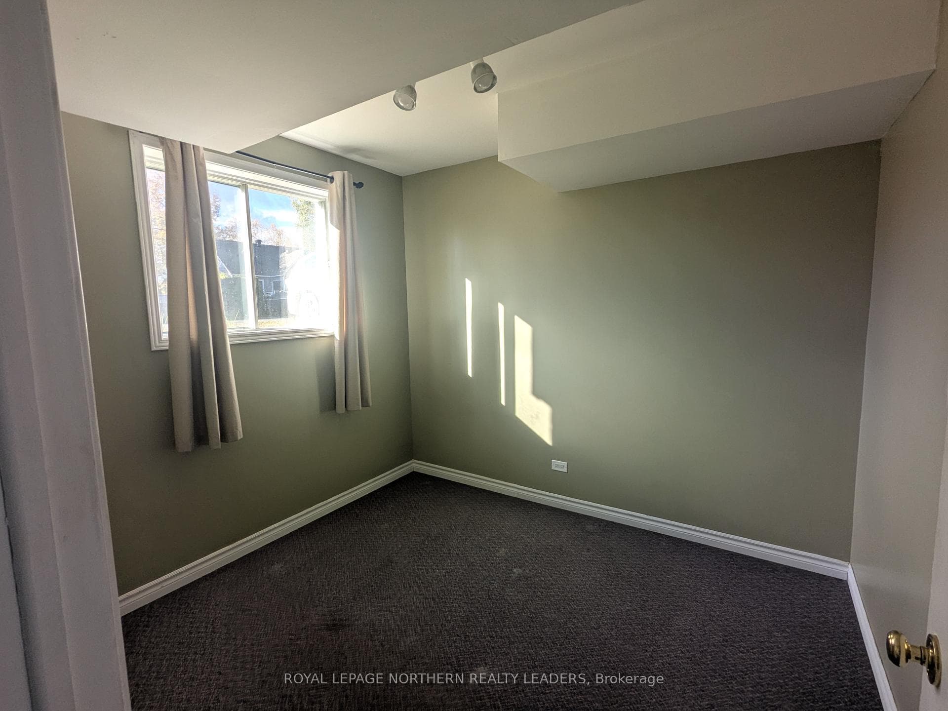 62 Powell Avenue photo 18